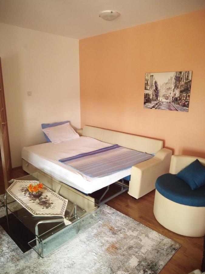 Apartman Ozi Petrovac Extérieur photo
