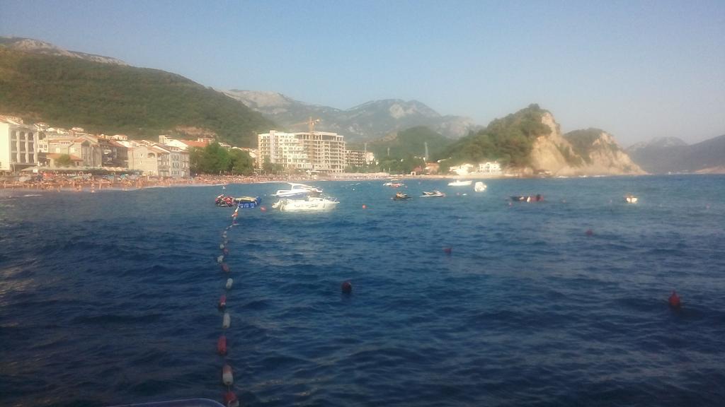 Apartman Ozi Petrovac Extérieur photo