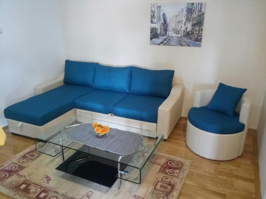 Apartman Ozi Petrovac Extérieur photo